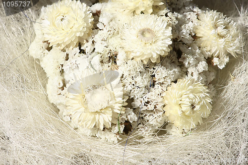 Image of Arrangement of White Flowers