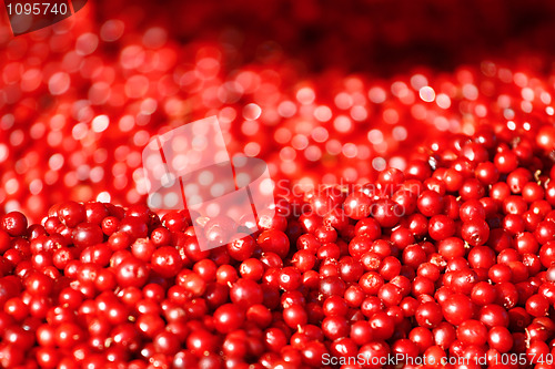 Image of Cranberries