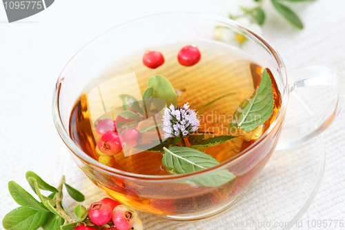 Image of Vitality cranberry tea