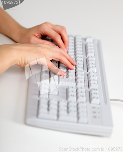 Image of Female hands working with computer keyboard