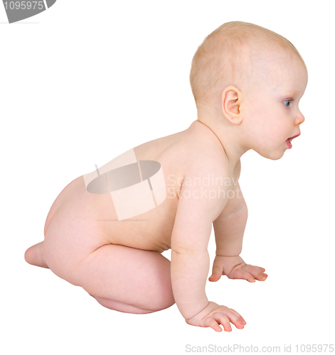 Image of Cute infant crawl on white background