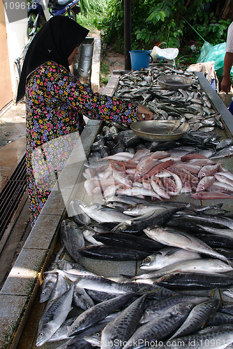 Image of Malay Girl Selling Fish