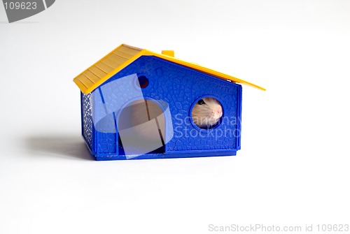 Image of Small homeowner
