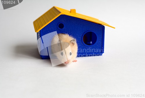 Image of Small homeowner