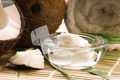 Image of Coconut and coconut oil 