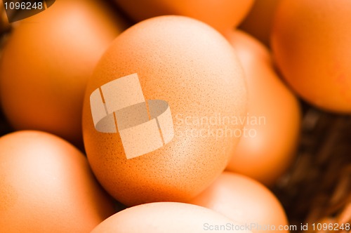 Image of Fresh brown cage free eggs