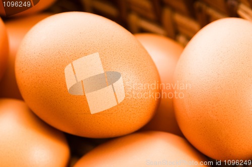 Image of Fresh brown cage free eggs