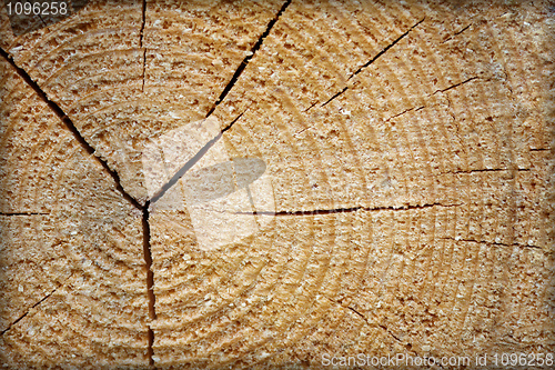 Image of Rough raw wood with cracks