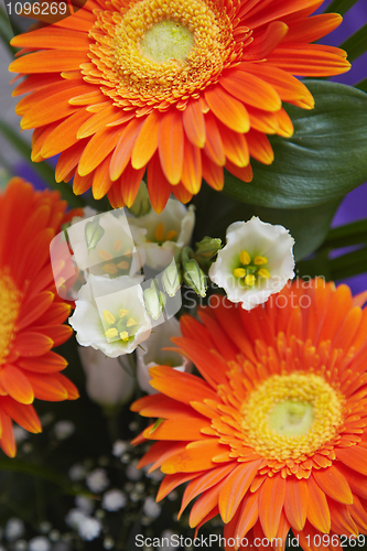 Image of Bouquet of flowers