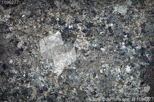 Image of Natural gray stone - background