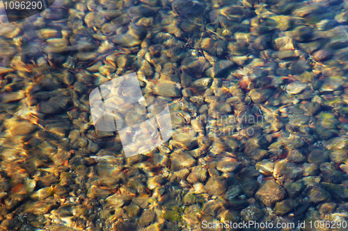 Image of Bottom of clean mountain lake