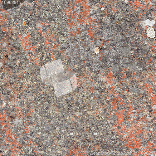 Image of Seamless texture - rock with lichen
