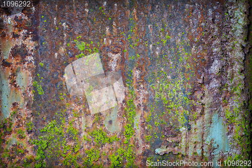 Image of Grunge rusty iron with pieces of paint and moss