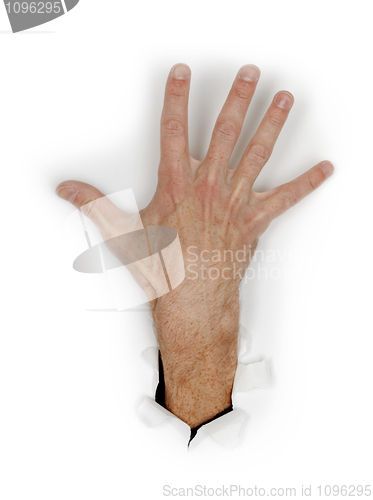 Image of Hand with fingers spread