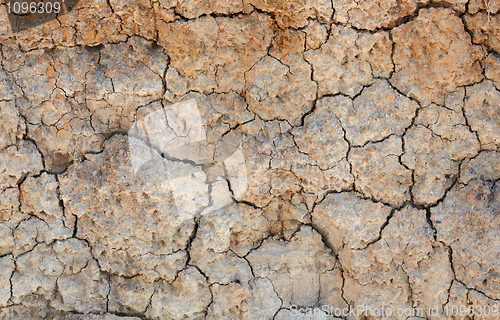 Image of Clay cracked earth - natural background