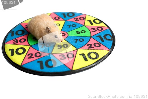 Image of Hamster on the dartboard