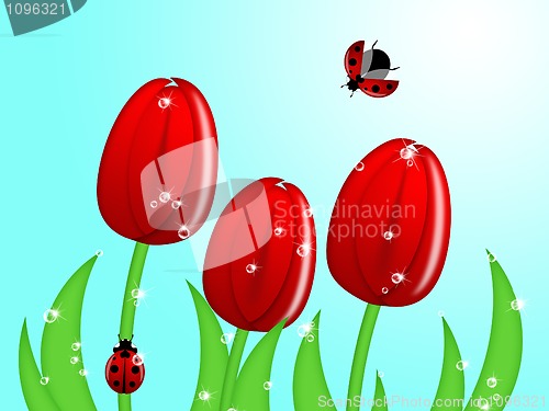 Image of Ladybug Climbing Up Tulip Flower Stem