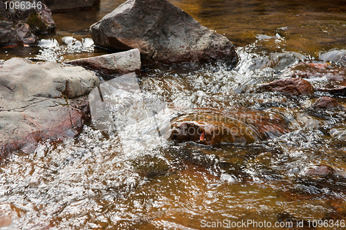 Image of pure clean water over rocks