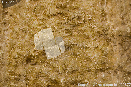 Image of Stone Texture