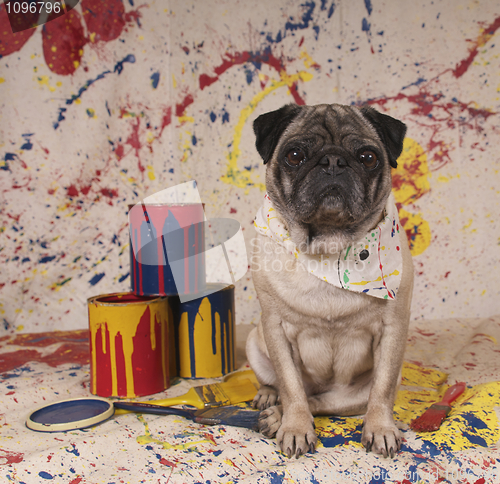 Image of Artist Pug