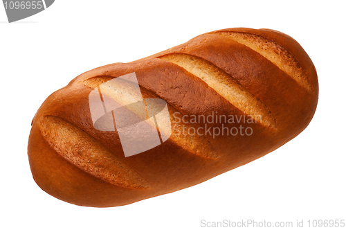 Image of Fresh wheat bread