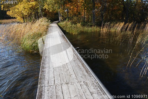 Image of boardwalk