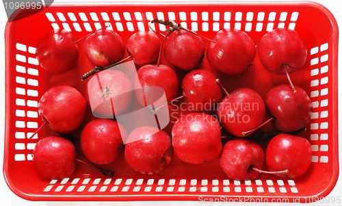 Image of red apples
