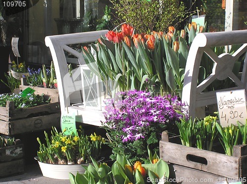 Image of flower arrangement