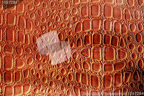 Image of crocodile leather