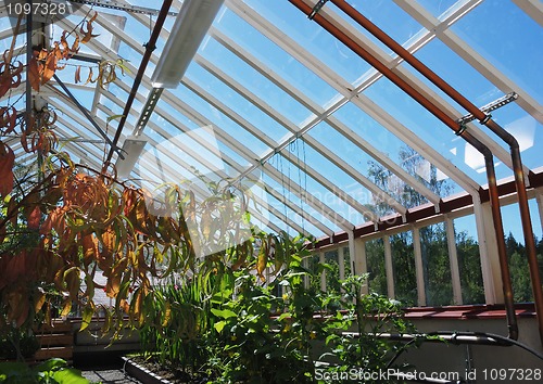 Image of greenhouse