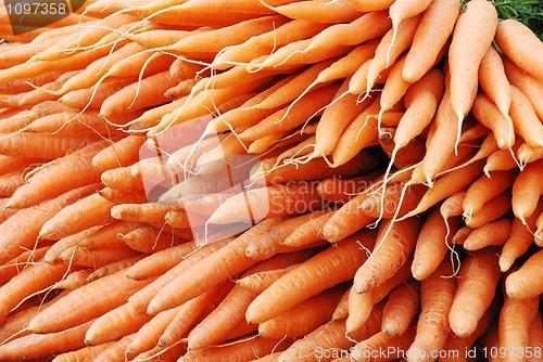 Image of carrots