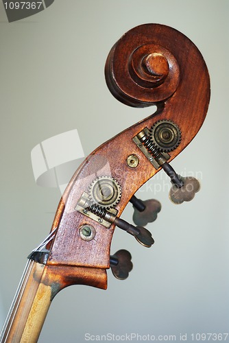 Image of contrabass