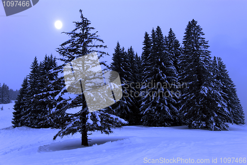 Image of full moon winter