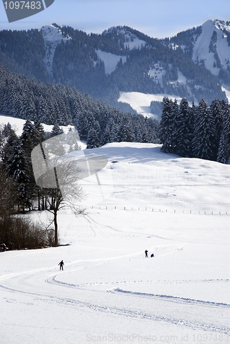 Image of cross-country skiing