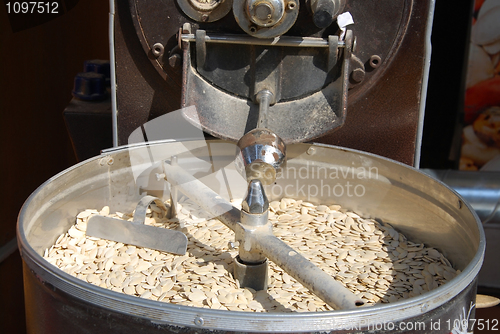 Image of roasted pumpkin seeds