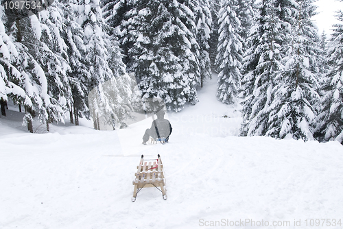 Image of sled in ion toboggan run