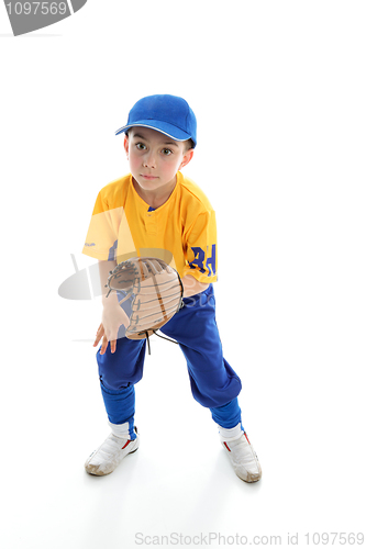 Image of Child baseball softball player crouching with mitt