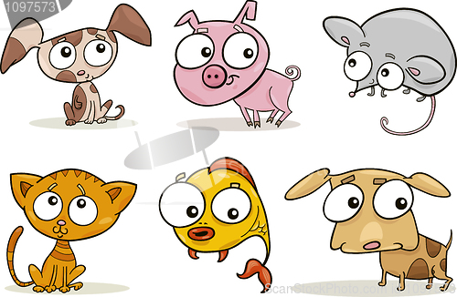Image of cute little pets
