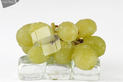 Image of grape