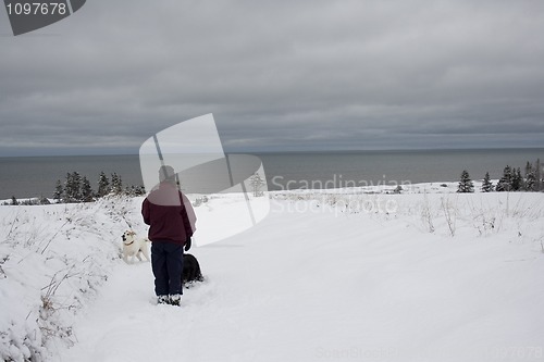 Image of Woman walks her dogs