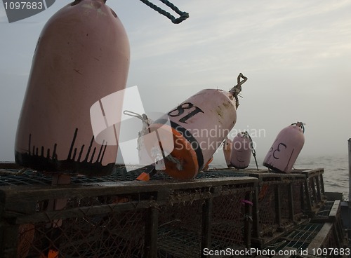 Image of Fishing Buoys