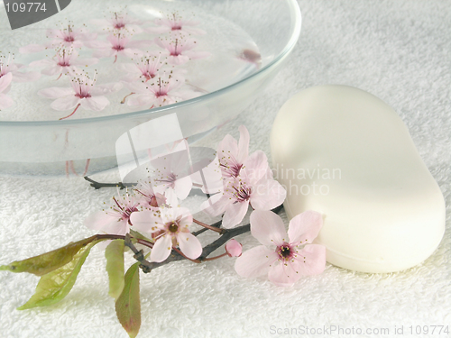 Image of home spa - a litte pink flowers