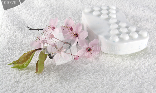 Image of home spa - a litte pink flowers