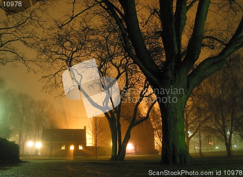 Image of Foggy night in the park.