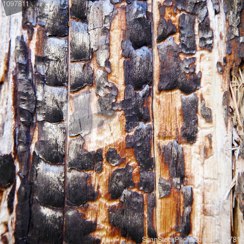 Image of Charred surface of wood after fire