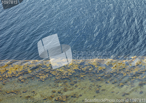 Image of Coastal line of northern sea- outflow