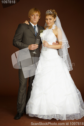 Image of Studio portrait of groom and bride