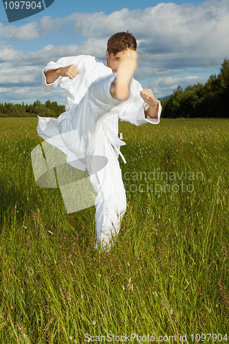 Image of Man polish a kick - karate