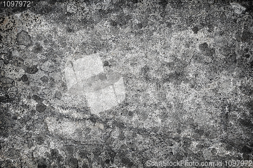 Image of Granite with lichen stains - stone background