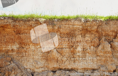 Image of Clay soil with cracks and green grass